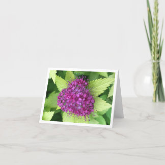Japans meadowsweet bedankkaart