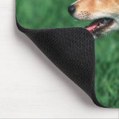 Japans Midget Shiba Muismat (Hoek)