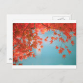 Japans monster briefkaart (Voorkant / Achterkant)