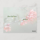 Japans ornamental Quince met bijbelcitaat Briefkaart (Achterkant)