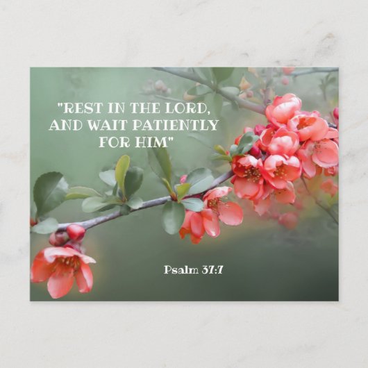 Japans ornamental Quince met bijbelcitaat Briefkaart (Voorkant)