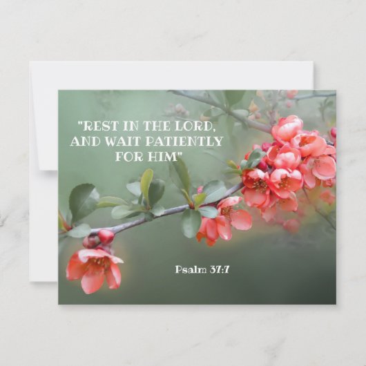 Japans ornamental Quince met bijbelcitaat Kaart (Voorkant)