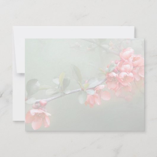 Japans ornamental Quince met bijbelcitaat Kaart (Achterkant)