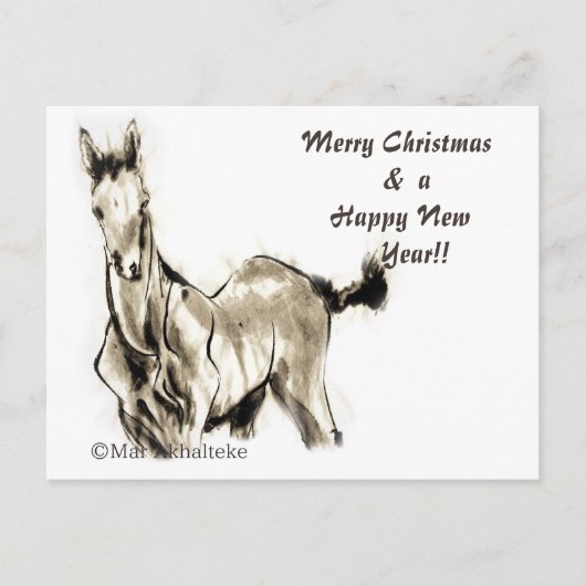 Japans paard samurai art paardrijkskunde feestdagenkaart (Voorkant)