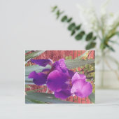 Japans Paars Iris Briefkaart (Staand voorkant)