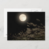 Japans pampas gras briefkaart (Voorkant / Achterkant)