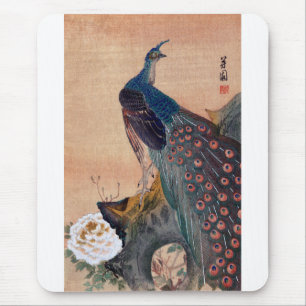 Japans Peacock nr. 1 Muismat