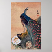 Japans Peacock nr. 1 Poster (Voorkant)