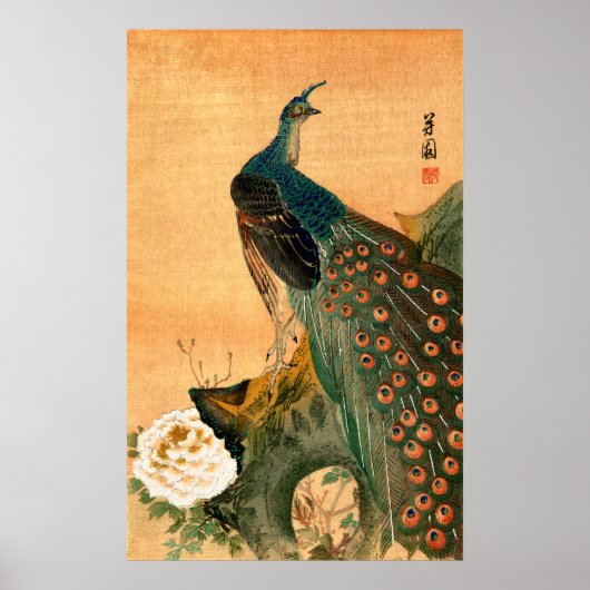 Japans Peacock nr. 2 Poster (Voorkant)