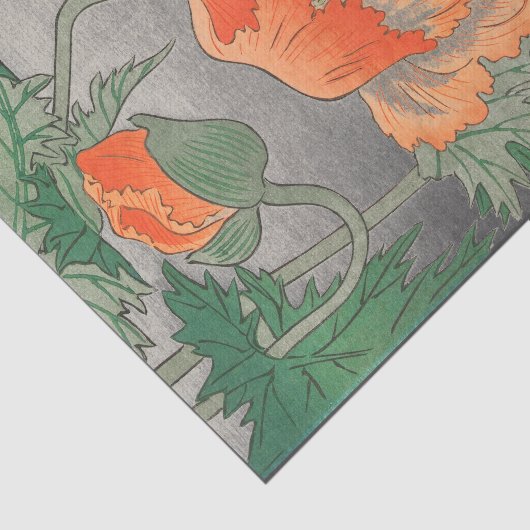 JAPANS POPPY-Tissue Paper Tissuepapier (Detail)