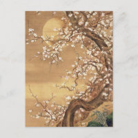 Japans pruim bloeit in maanlicht