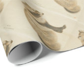 Japans Raccoon Cadeaupapier (Rol Hoek)