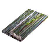 Japans Reuzenbamboebos, Sagano, Kyoto, Japan Magneet (Linkerzijde)