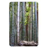 Japans Reuzenbamboebos, Sagano, Kyoto, Japan Magneet (Verticaal)