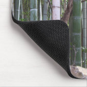 Japans Reuzenbamboebos, Sagano, Kyoto, Japan Muismat (Hoek)