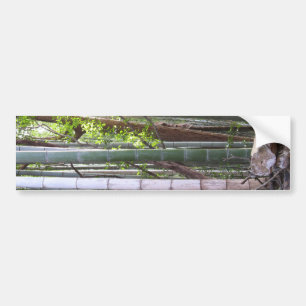 Japans Reuzenbamboobos, Sagano, Kyoto, Japan Bumpersticker