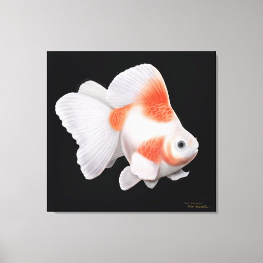 Japans Ryukin Fantail Goudvis Verpakt Canvas (Voorkant)