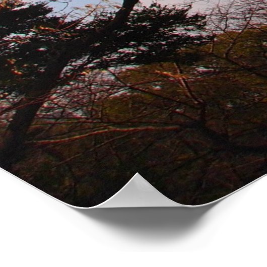 Japans Samurai Poster (Hoek)