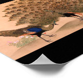 Japans schilderen c. 1781 Peacock Poster (Hoek)