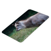 Japans Serow Magneet (Linkerzijde)