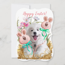 Japans Spitz-puppy- en tandenbrood