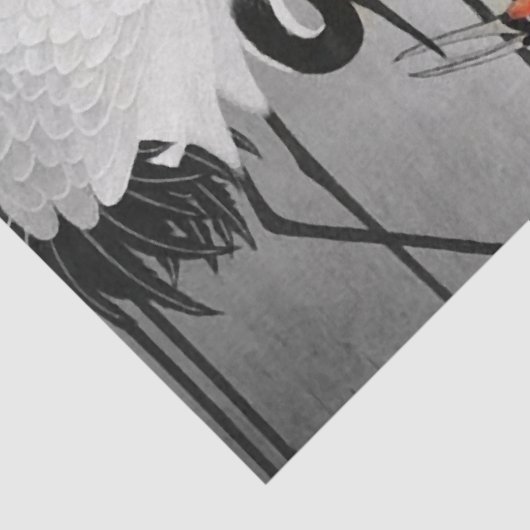 Japans tapijtstofpapier Tissuepapier (Detail)