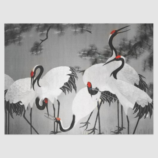 Japans tapijtstofpapier Tissuepapier (Voorkant)