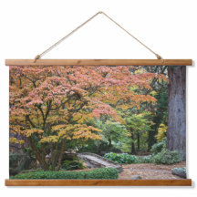 Japans Tuin Herfst Blad Kleur Landschap