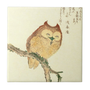  Japans vingerafdrukken   Owl op een bijkantoor Tegeltje