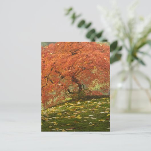 Japans voorbeeld in kleur herfst briefkaart (Staand voorkant)