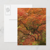 Japans voorbeeld in kleur herfst briefkaart (Voorkant / Achterkant)