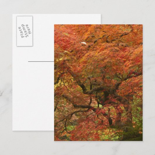 Japans voorbeeld in kleur herfst briefkaart (Voorkant / Achterkant)