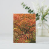 Japans voorbeeld in kleur herfst briefkaart (Staand voorkant)