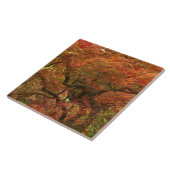 Japans voorbeeld in kleur herfst tegeltje (Zijkant)