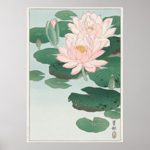  Japans water Lily door Ohara Koson Poster