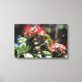 Japans wit oog canvas afdruk (Voorkant)