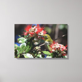 Japans wit oog canvas afdruk