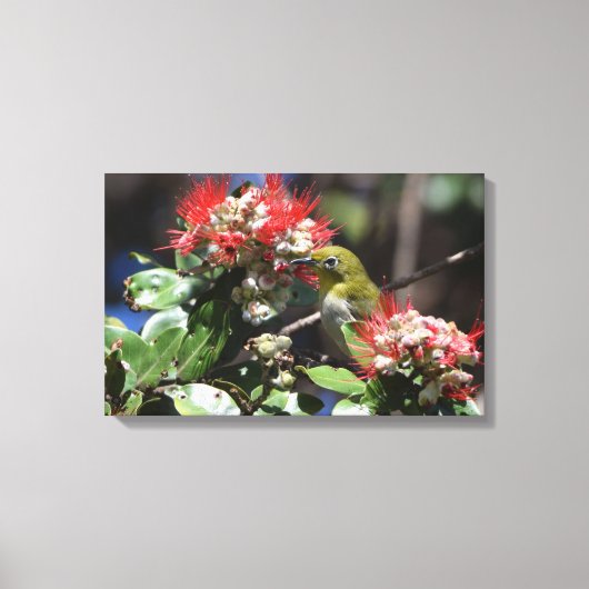 Japans wit oog canvas afdruk (Voorkant)