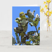 Japans wit-oog die naar me kijkt kaart (Gele Bloem)