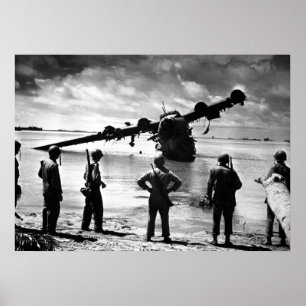 Japans Zee Plane Poster