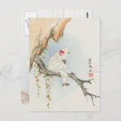 Japanse aap briefkaart (Voorkant / Achterkant)