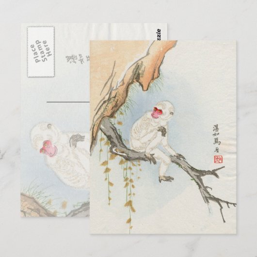 Japanse aap briefkaart (Voorkant / Achterkant)