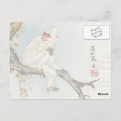 Japanse aap briefkaart (Achterkant)