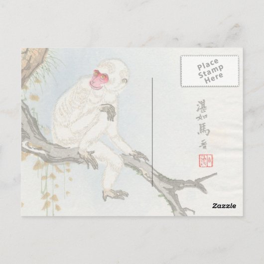 Japanse aap briefkaart (Achterkant)