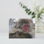 Japanse aap ontspannen in warme lente briefkaart (Staand voorkant)