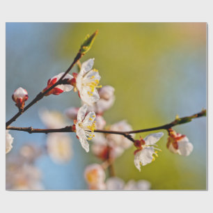 Japanse abrikozenbloemen cadeaupapier