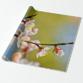 Japanse abrikozenbloemen cadeaupapier (Uitgerold)