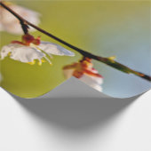 Japanse abrikozenbloemen cadeaupapier (Hoek)