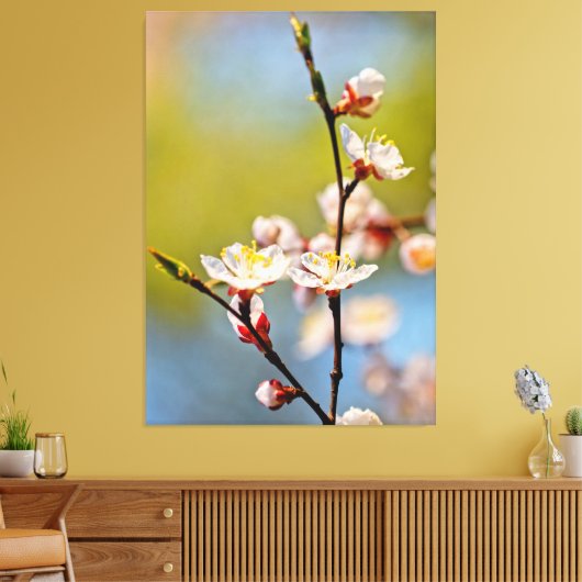 Japanse abrikozenbloemen canvas afdruk (Insitu (Woonkamer))
