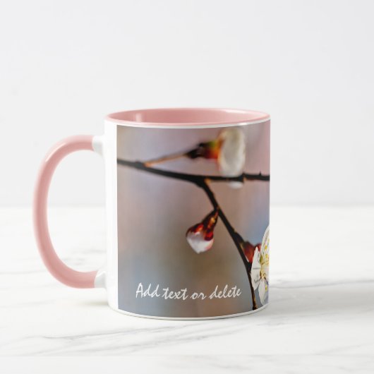 Japanse abrikozenbloemen mok (Links)